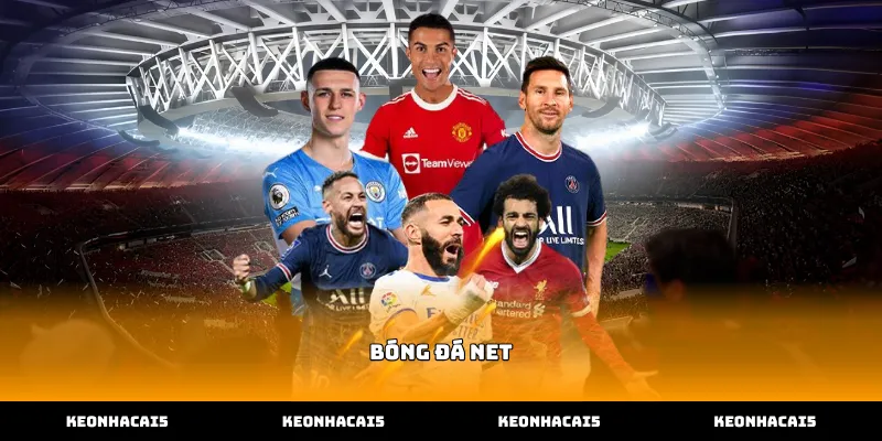 Vai trò của dữ liệu bóng đá net trong soi kèo cá cược