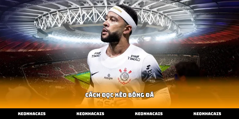 Cẩm nang hướng dẫn cách đọc kèo bóng đá châu Á thực chiến