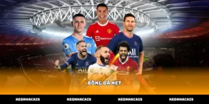 Vai trò của dữ liệu bóng đá net trong soi kèo cá cược