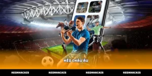 Tìm hiểu khái niệm cơ bản về kèo châu âu trực tuyến hiệu quả